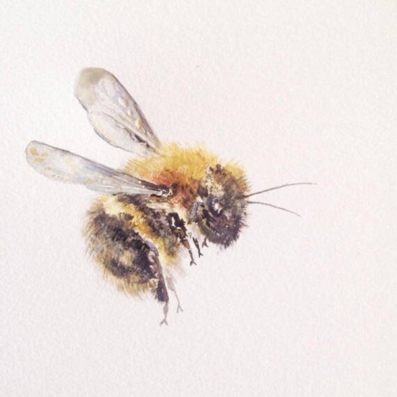 _1busybee_